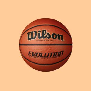 Wilson Evolution Official Game Basketball